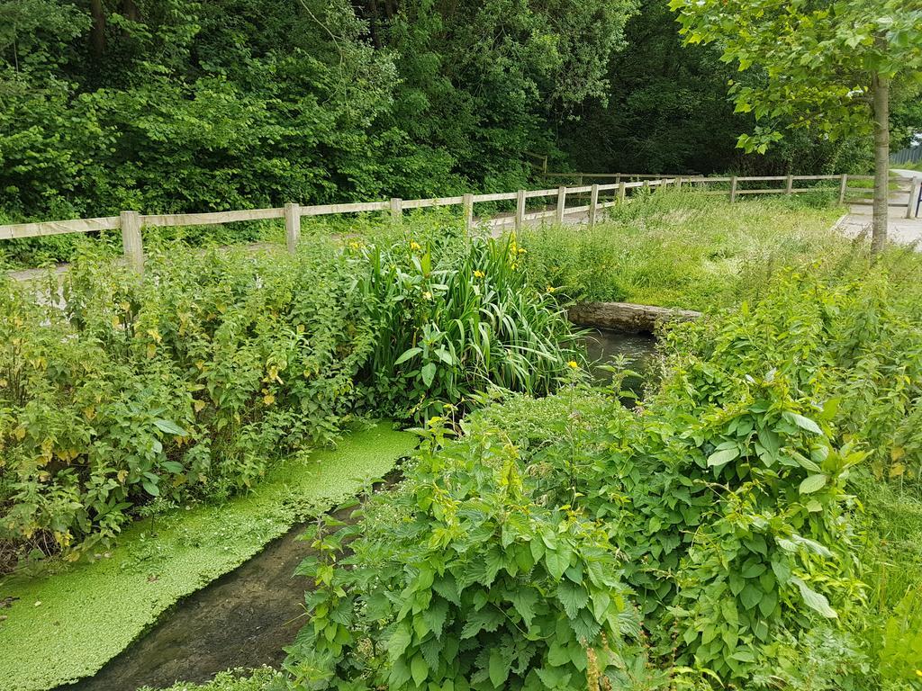 Streamside Apartments Yeovil Buitenkant foto