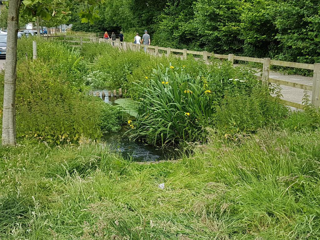 Streamside Apartments Yeovil Buitenkant foto