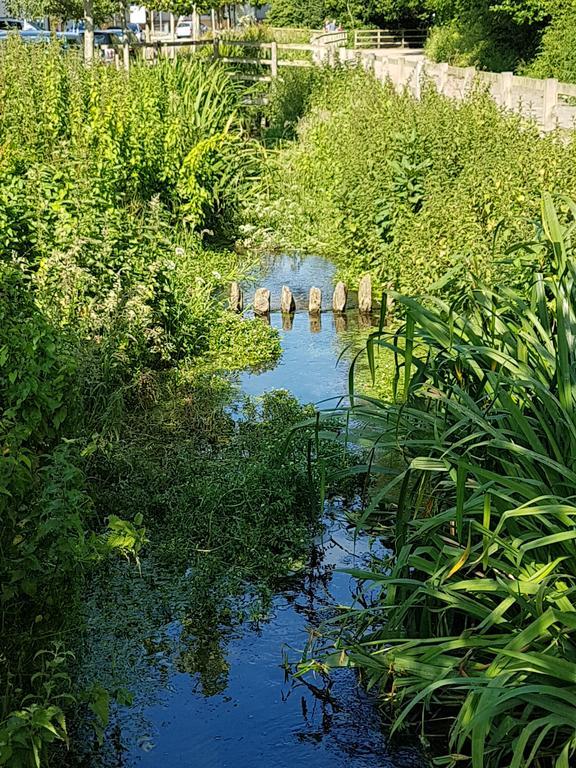 Streamside Apartments Yeovil Buitenkant foto